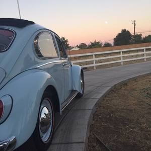 Meet your Posher, Pedro